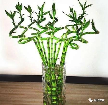 1605235592810730.jpg 3.jpg