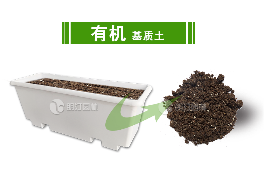 1605494399452275.png 1605494399452275.png