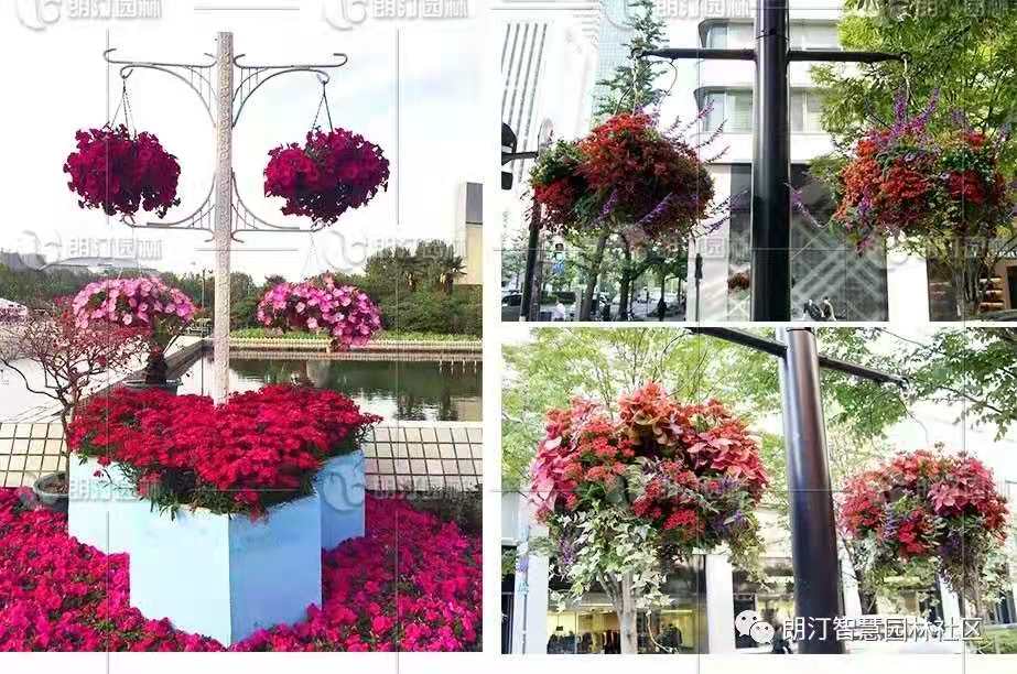 1606362575320137.jpg 1606362575320137.jpg