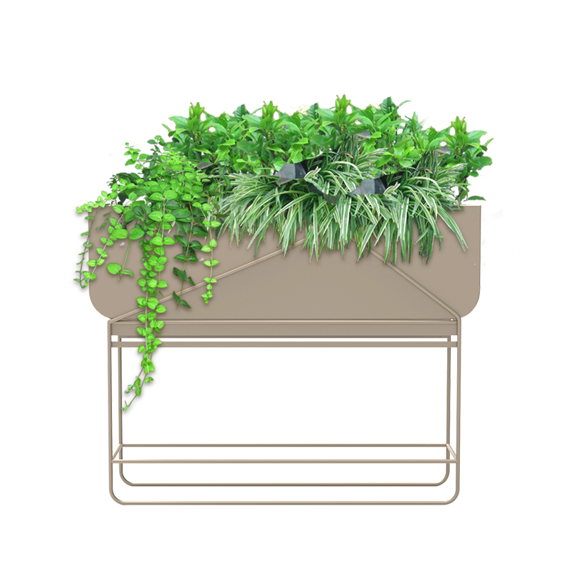 1606715812107004.jpg 1606715812107004.jpg