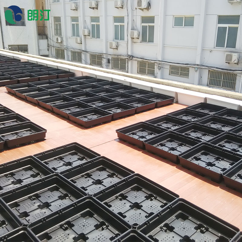 1606980388669697.jpg 1606980388669697.jpg