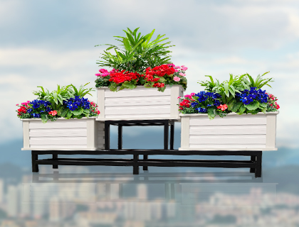 1615512125247392.jpg 品字型櫥窗圖.jpg