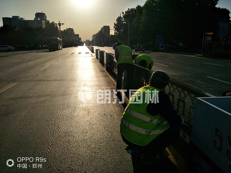 1625644648381725.jpg jfivd0m5uwh1625638157406.jpg