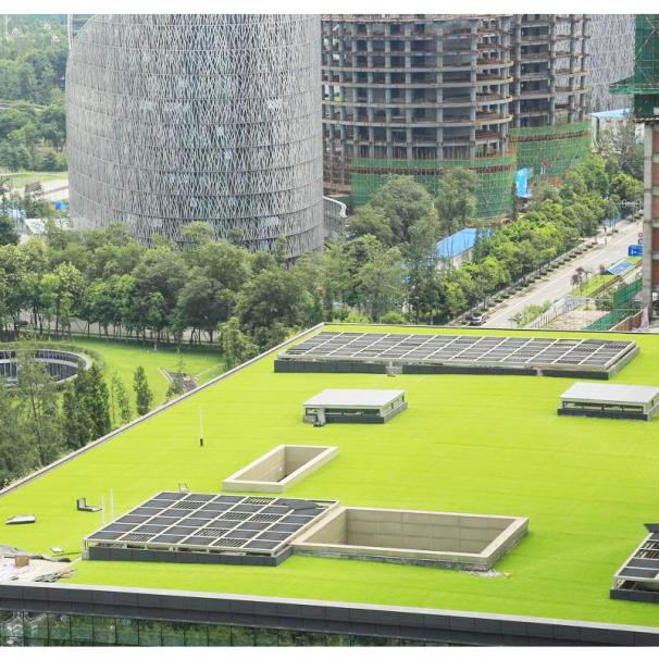 1717385893265636.png 圖片8.png