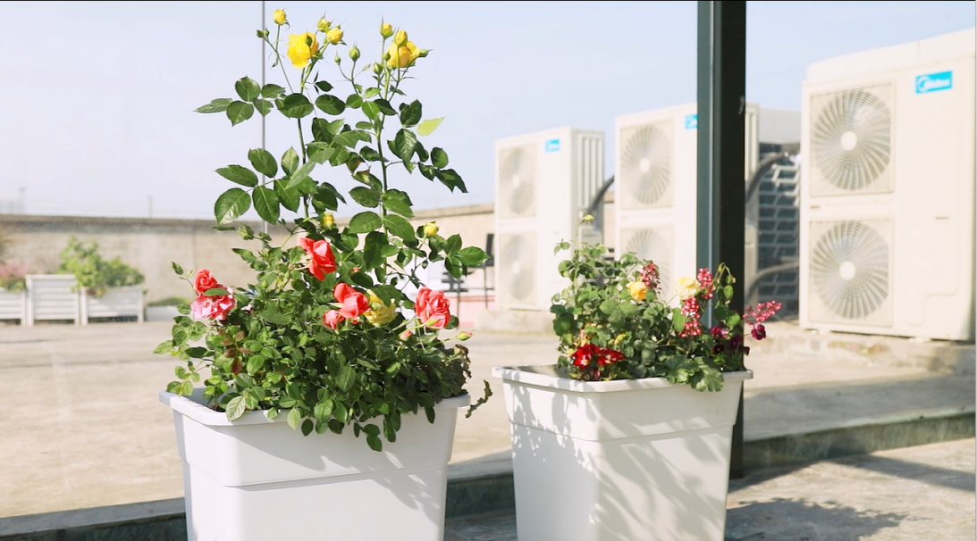 1718159339681762.png 圖片3.png