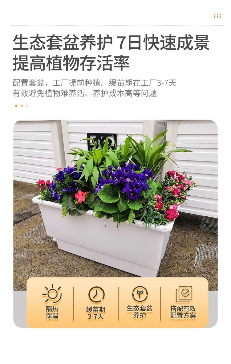 1721350587998539.jpg 4.jpg