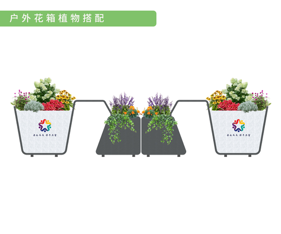 1722822269184120.jpg 植物搭配1.jpg