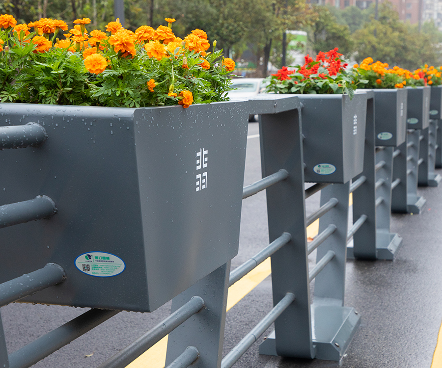 1726104359682554.jpg 2.jpg