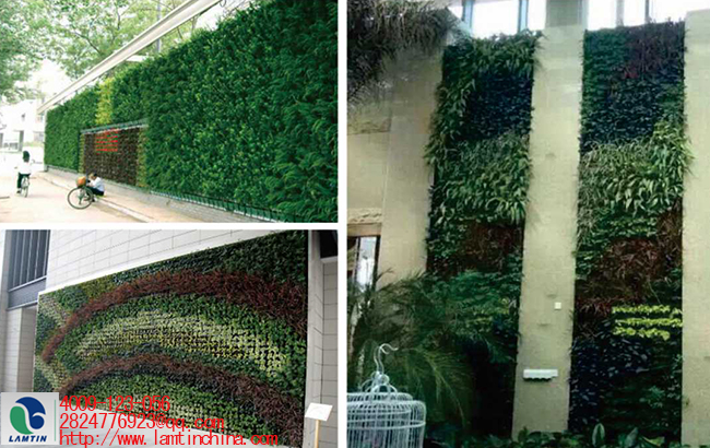 垂直綠化 垂直綠化