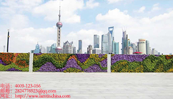 墻體綠化 墻體綠化