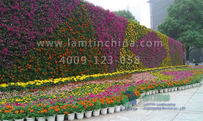 墻體綠化 墻體綠化
