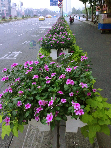 高架橋綠化 高架橋綠化