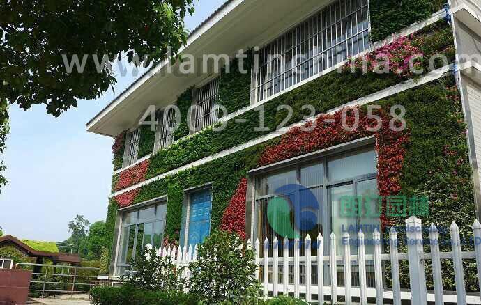 合肥立體綠化 合肥立體綠化