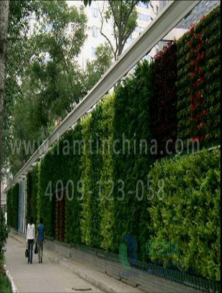 合肥墻體綠化 合肥墻體綠化