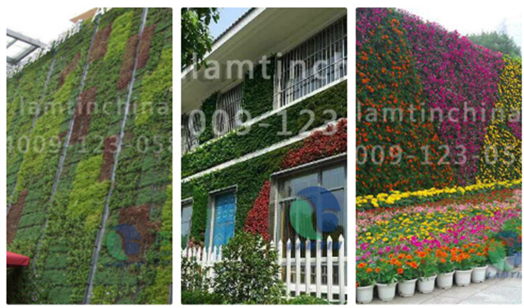 安徽立體綠化 安徽立體綠化