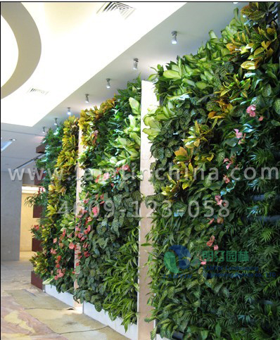 合肥立體綠化 合肥立體綠化