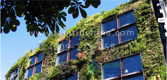 合肥立體綠化 合肥立體綠化