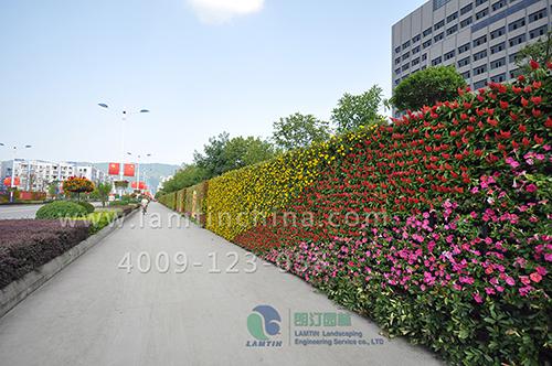 植物墻工程 植物墻工程