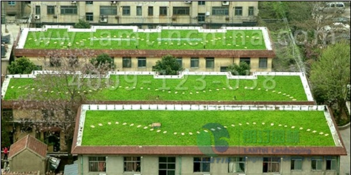 屋頂綠化工程 屋頂綠化工程