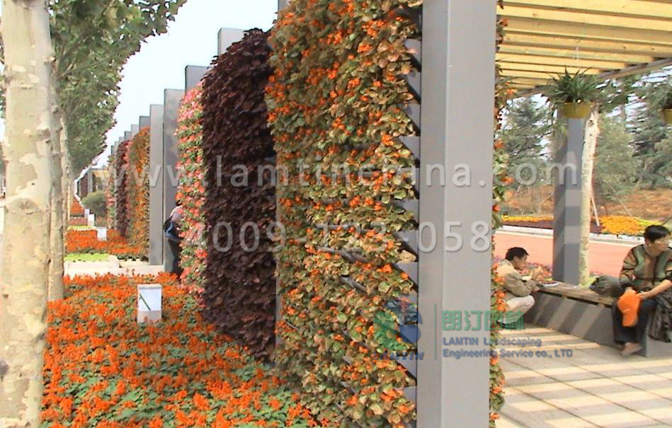 植物墻工程 植物墻工程