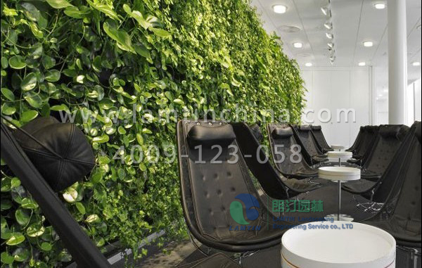植物墻工程 植物墻工程