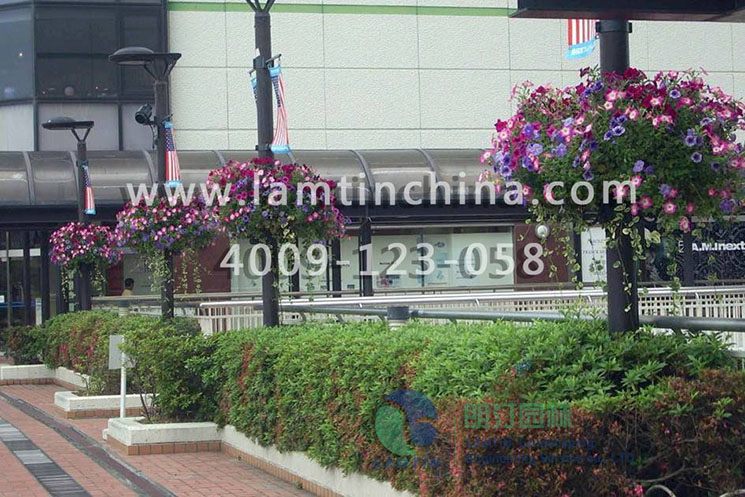 立體組合花盆 立體組合花盆