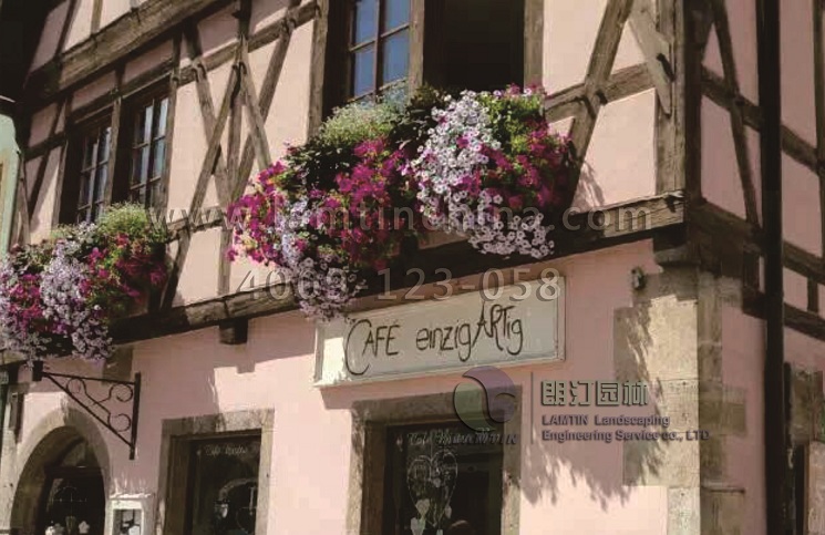 上海沿街窗臺陽臺綠化案例 上海沿街窗臺陽臺綠化案例