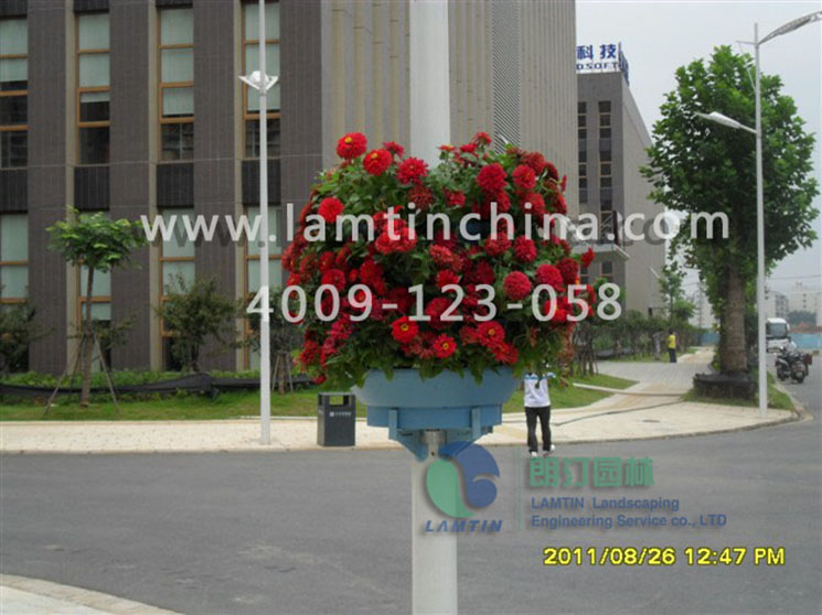 燈桿綠化 燈桿綠化