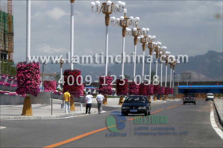 燈桿綠化 燈桿綠化