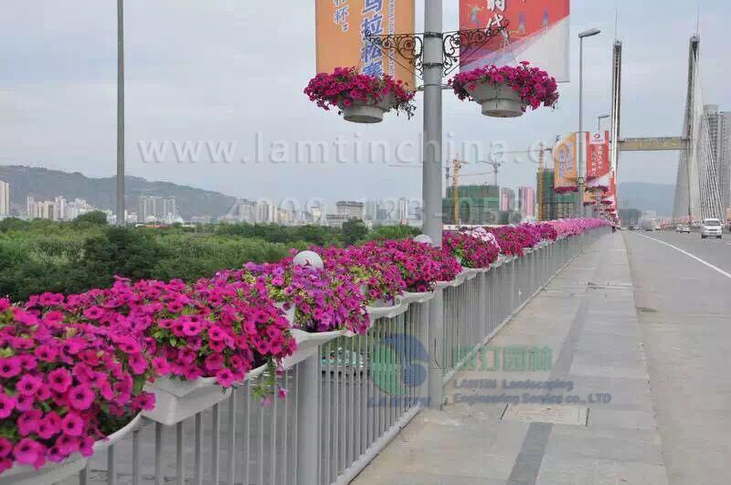 立體組合花盆 立體組合花盆