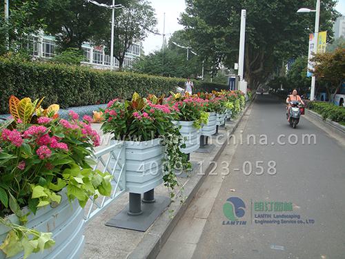 安徽立體綠化 安徽立體綠化