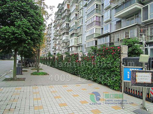 合肥立體綠化 合肥立體綠化