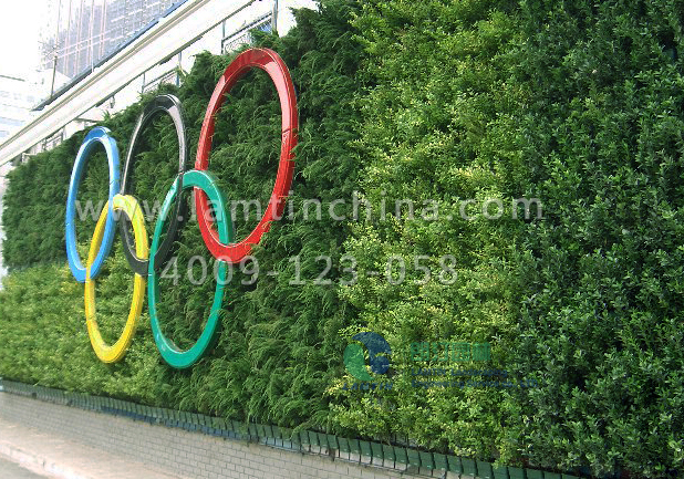 合肥墻體綠化 合肥墻體綠化