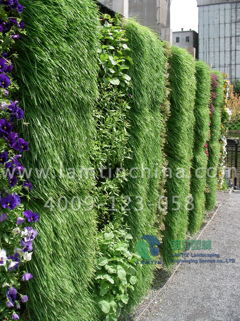 合肥墻體綠化 合肥墻體綠化