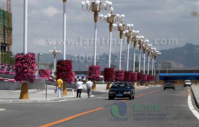 燈桿綠化 燈桿綠化