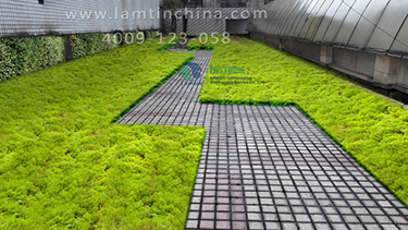 屋頂綠化工程 屋頂綠化工程