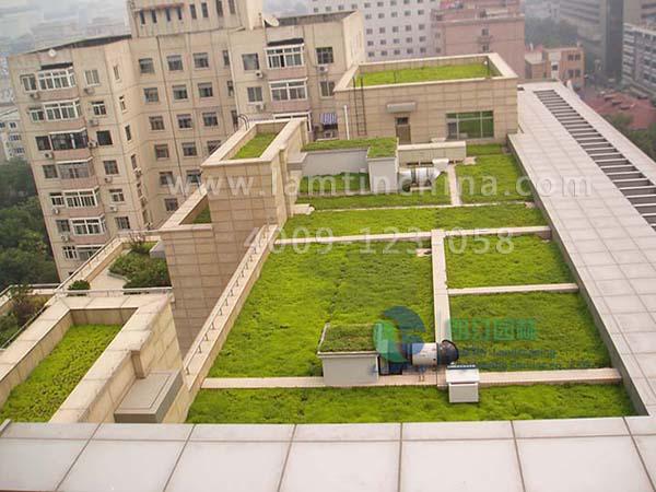 屋頂綠化工程 屋頂綠化工程