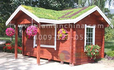 屋頂綠化公司 屋頂綠化公司