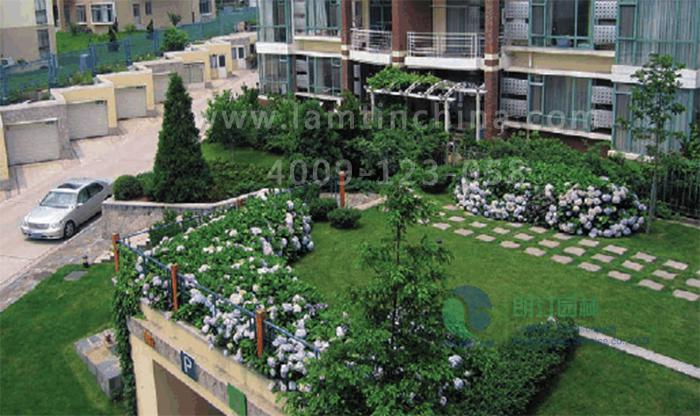 屋頂綠化公司 屋頂綠化公司