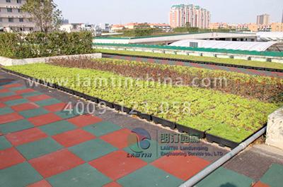 樓頂綠化公司 樓頂綠化公司