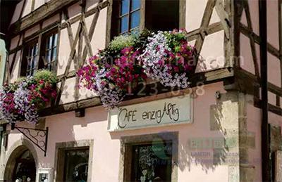 窗臺(tái)陽(yáng)臺(tái)綠化組合花盆 窗臺(tái)陽(yáng)臺(tái)綠化組合花盆