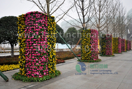 植物墻花盆 植物墻花盆