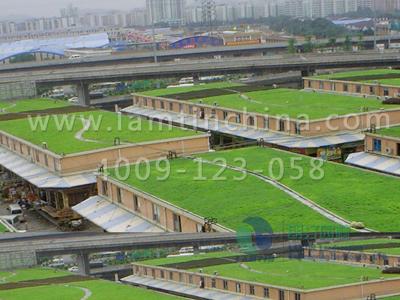 屋頂綠化工程 屋頂綠化工程