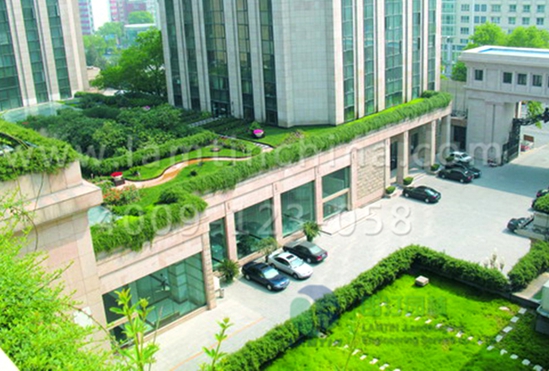 屋頂綠化公司 屋頂綠化公司