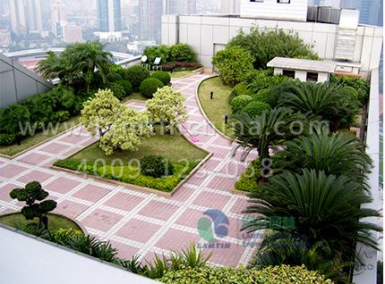 屋頂綠化 屋頂綠化