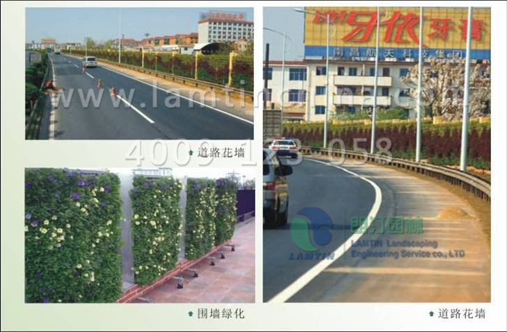 植物墻公司 植物墻公司