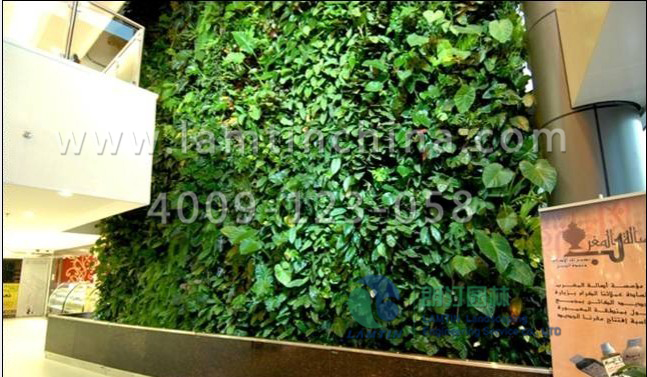植物墻工程 植物墻工程