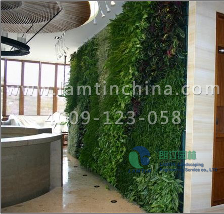 植物墻工程 植物墻工程