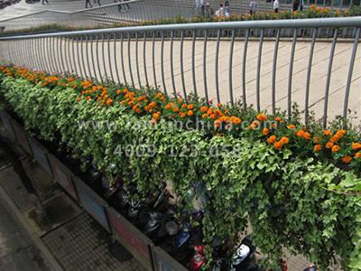 高架橋綠化 高架橋綠化