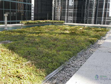 屋頂綠化公司 屋頂綠化公司